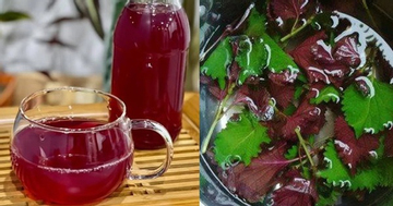 Loại rau nên ăn nhiều vào mùa thu giúp tăng đề kháng, ngăn ngừa viêm mũi và cảm lạnh hiệu quả