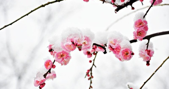 Số cuối ngày sinh Âm lịch của người tuổi trẻ phải trải qua nhiều sương gió