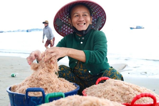 Trúng đậm ruốc biển, ngư dân Quảng Ngãi bỏ túi bạc triệu mỗi ngày