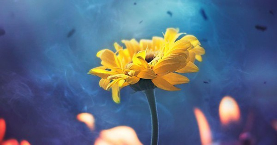 Tháng sinh Âm lịch vượng mệnh: Ai sở hữu phúc lộc theo chân cả đời