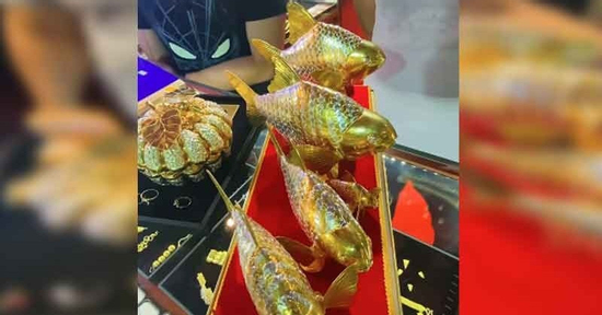 Bỏ 160 triệu đồng mua cá vàng nguyên khối, người đàn ông sốc khi mang bán