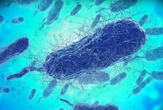 Vi khuẩn từ nước biển nhiễm trên da 'ăn' sâu vào nội tạng người đàn ông