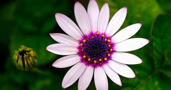 Tháng sinh Âm lịch của người biết nắm bắt thời cơ: Càng trưởng thành càng tỏa sáng