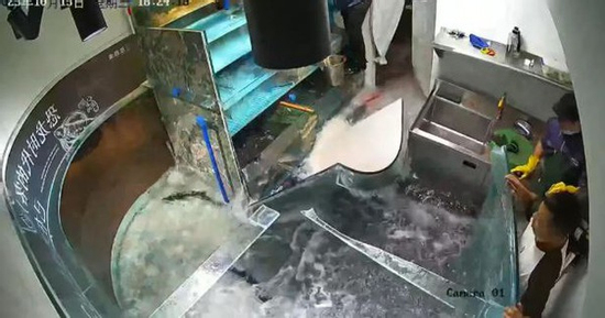Khoảnh khắc kinh hoàng bể cá khổng lồ trong nhà hàng bất ngờ vỡ vụn