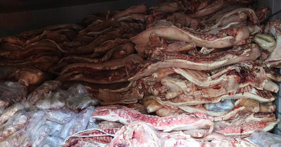Bắt tạm giam chủ cơ sở trữ gần 38 tấn thịt lợn nhiễm dịch tả để bán kiếm lời