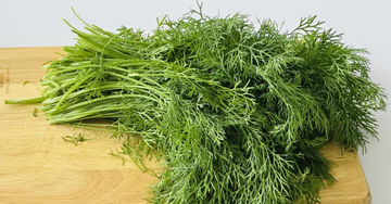Tác dụng với sức khỏe của loại rau có tên khác biệt 'thì là'