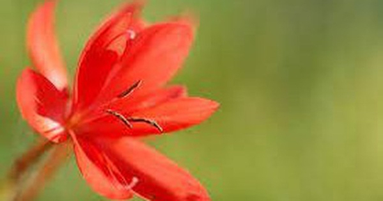 Tháng sinh Âm lịch của người có phúc lộc sâu dày, 10 người thì 9 người giàu có