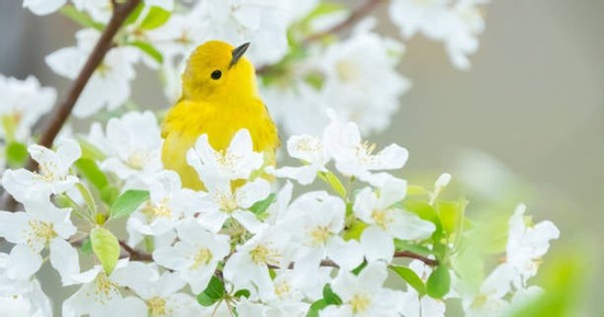 Ngày sinh Âm lịch của người ở hiền gặp lành, con cháu được hưởng phúc, gia đạo yên ấm