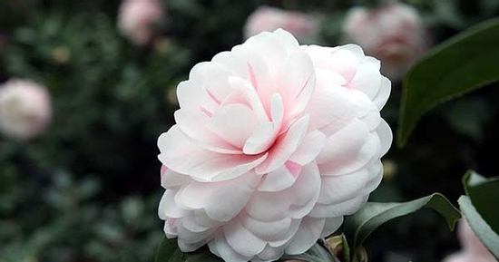 Số cuối ngày sinh Âm lịch của người cần mẫn, sẽ hưởng phúc về sau