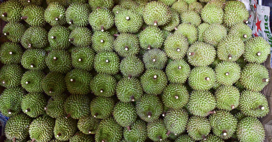 Gần 2.000 container sầu riêng bị ùn ứ: Phó Thủ tướng yêu cầu làm rõ trách nhiệm