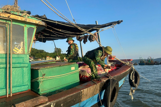 Quảng Ninh huy động hàng chục nghìn người, phương tiện ứng trực bão số 11