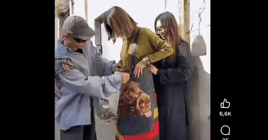 1 phút 30 giây 'biến hình' của Quỳnh Anh Shyn tại Paris khiến fan trầm trồ