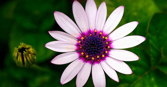 Ngày sinh Âm lịch của người nỗ lực không ngừng: Càng về sau càng thịnh vượng