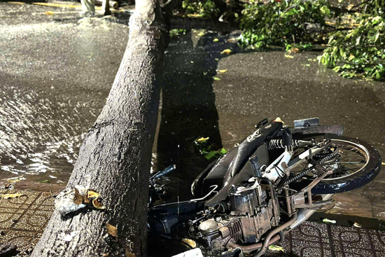 Cây đổ la liệt, đè bẹp xe máy ở TP.HCM sau cơn mưa dông lớn