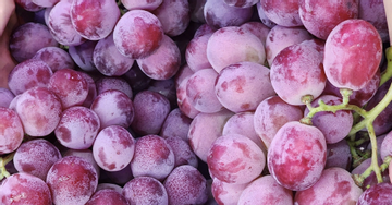 Nho Trung Quốc la liệt chợ Việt, giá rẻ hơn cả mớ rau