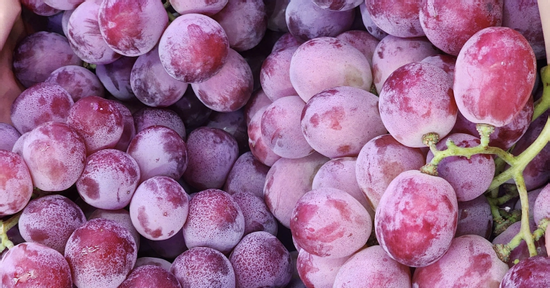 Nho Trung Quốc la liệt chợ Việt, giá rẻ hơn cả mớ rau