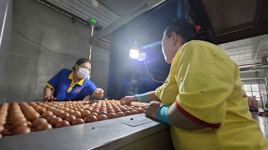 Ba Huân bị cưỡng chế ngừng thủ tục hải quan vì nợ thuế hơn 51 tỉ đồng, người trong cuộc nói gì?