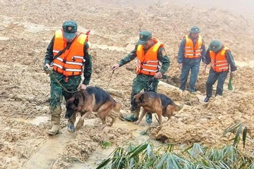 Tạm dừng tìm kiếm 3 nạn nhân mất tích trong vụ sạt lở núi kinh hoàng ở Đà Nẵng