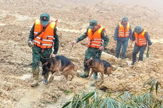 Tạm dừng tìm kiếm 3 nạn nhân mất tích trong vụ sạt lở núi kinh hoàng ở Đà Nẵng