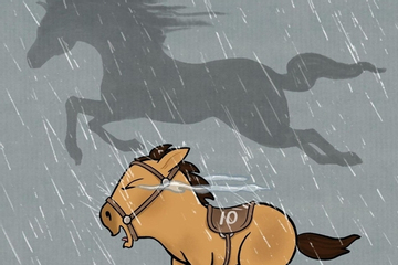 Chú ngựa nhỏ gây sốt mạng xã hội xứ Trung nhờ khoảnh khắc vừa chạy vừa khóc