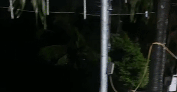 Mưa xối xả gây ngập đường sắt ở Khánh Hòa, nhiều tàu phải tạm dừng chạy