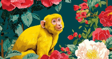 Những con giáp nữ cá tính, một mình làm nên sự nghiệp khiến đàn ông nể phục