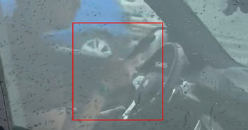 Tài xế 'xe sang' bị người dân ghi hình 'tay cầm lái, tay dùng di động' ở Hà Nội