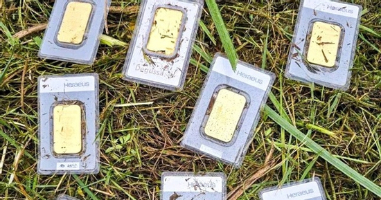 Đi cắt cỏ, nam công nhân tìm thấy 8 miếng vàng trị giá 920 triệu đồng