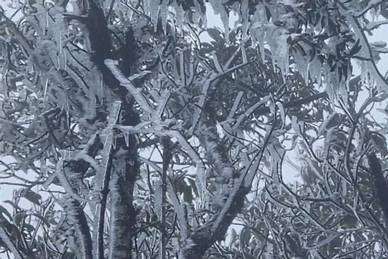 Đỉnh Tà Xùa ở Lào Cai xuất hiện băng giá