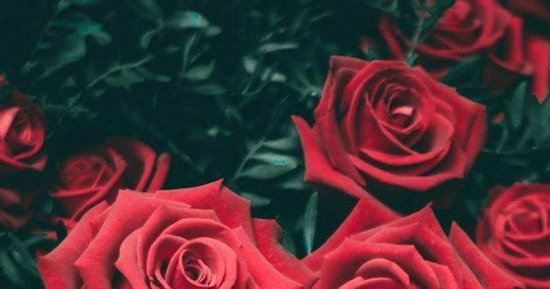 Tháng sinh Âm lịch của người có hậu vận vững chắc, tài lộc đầy nhà