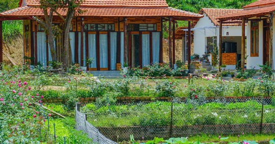 Nữ quản lý bỏ phố về quê để nghỉ hưu sớm với 11 tỷ: 3 năm sau hối hận quay lại thành phố tìm việc