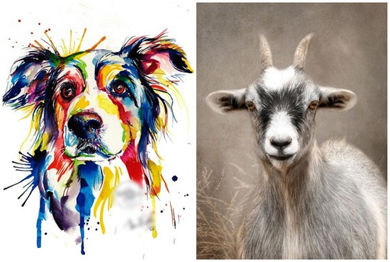 Tử vi 3 con giáp may mắn nhất thứ Bảy (22/11): Định sẵn số giàu sang, hút tài lộc cực mạnh