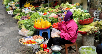Rau tăng giá, người Hà Nội tự làm giá đỗ, rau mầm, thiết kế bữa ăn '3 món còn 2'