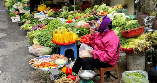 Rau tăng giá, người Hà Nội tự làm giá đỗ, rau mầm, thiết kế bữa ăn '3 món còn 2'