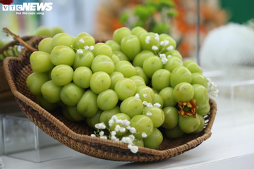 Cận cảnh loạt trái cây 'hot' bị nhái nguồn gốc, lừa người tiêu dùng