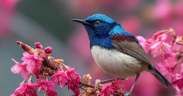 Tháng sinh Âm lịch của người có tuổi trẻ phải chịu nhiều thử thách nhưng hậu vận nhận trái ngọt