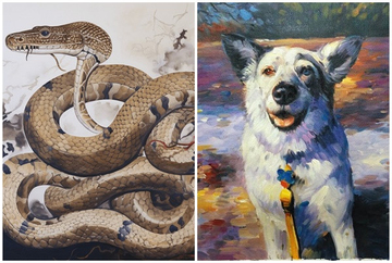 Tử vi 12 con giáp Chủ Nhật ngày 23/11/2025: Quý nhân trợ lực, tài lộc bùng nổ