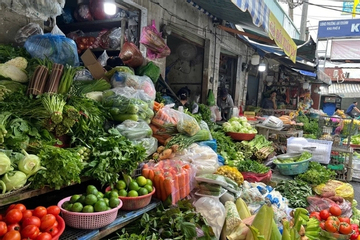 Giá rau ở TP.HCM bớt nóng, chợ online rủ nhau bán rau củ đồng giá 35.000 đồng/kg