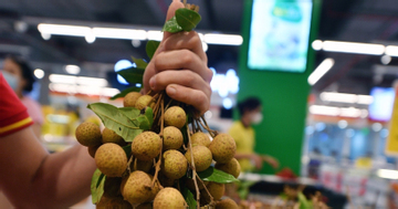 Hộ kinh doanh bán nông sản mua của nông dân có chịu thuế giá trị gia tăng?