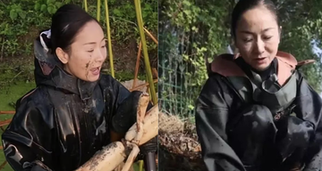 Nữ doanh nhân vỡ nợ hơn 18 tỷ đồng, lặn lội đào củ sen làm lại từ đầu