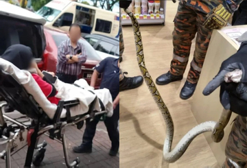 Nữ nhân viên bị trăn dài 2 mét cắn khi đang sử dụng nhà vệ sinh