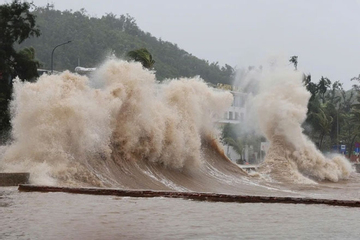 Chuyên gia phân tích điểm bất thường của bão số 15 Koto