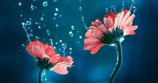 Tử vi tiết lộ 5 ngày sinh Âm lịch mang phúc lộc suốt đời: Càng trưởng thành càng rực rỡ