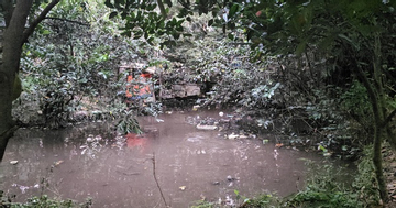 Thương tâm bé trai 5 tuổi ở TPHCM tử vong vì ao nước phía sau nhà trọ