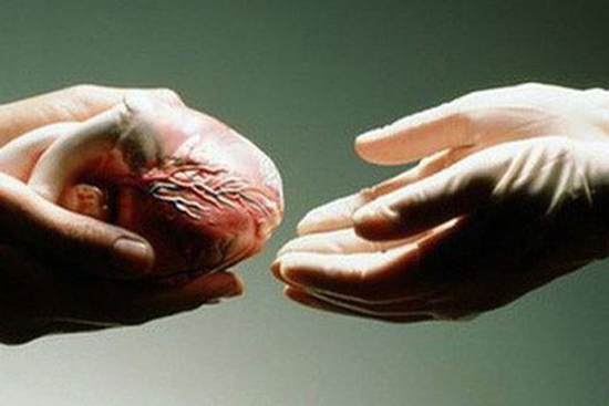 Qua đời ở tuổi 25, chàng trai hiến tạng, giúp hỗ trợ hơn 100 bệnh nhân