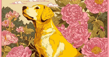 3 con giáp nữ sống quá cảm tính nên dễ bị lừa gạt