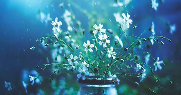 Tháng sinh Âm lịch là 'con cưng của Thần Tài': Càng già càng giàu, phúc lộc bền lâu