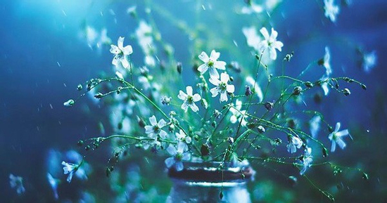 Tháng sinh Âm lịch là 'con cưng của Thần Tài': Càng già càng giàu, phúc lộc bền lâu