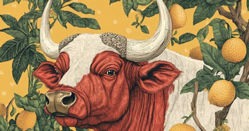 Kỷ luật thép: Chìa khóa vàng giúp 4 con giáp này vươn tới đỉnh cao danh vọng