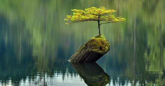 Ngày sinh Âm lịch của người mạnh mẽ: Càng trong nghịch cảnh càng vươn lên tỏa sáng rực rỡ